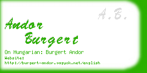 andor burgert business card